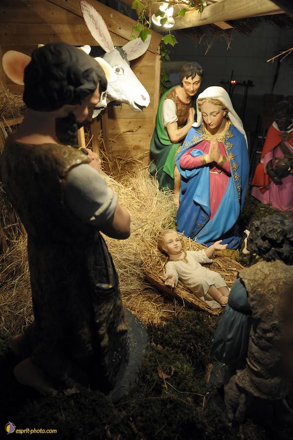 Nom de l'image : D30043078_1_(c)Norbert-JUNG — Description :